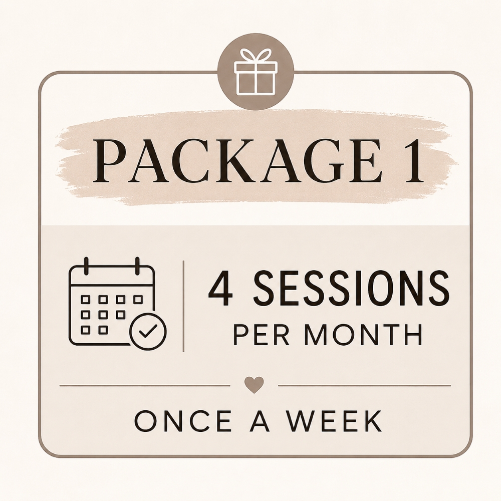 Package 1 (4 sessions) 1x weekly at On The Go Boxing in Nashville, TN