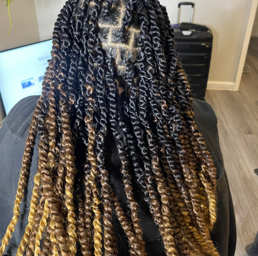 Small Feed In Twists at Mane In The Mirror Salon in Charlotte, NC