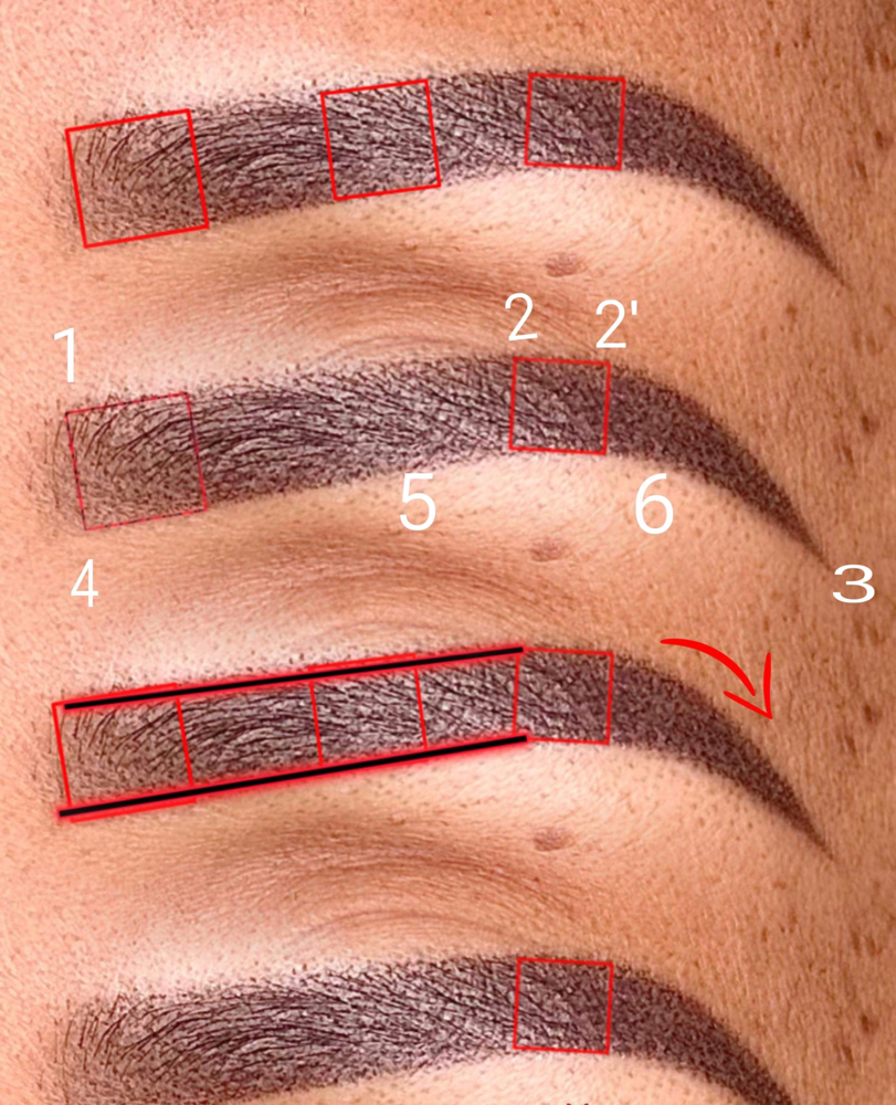 Eyebrow Lamination