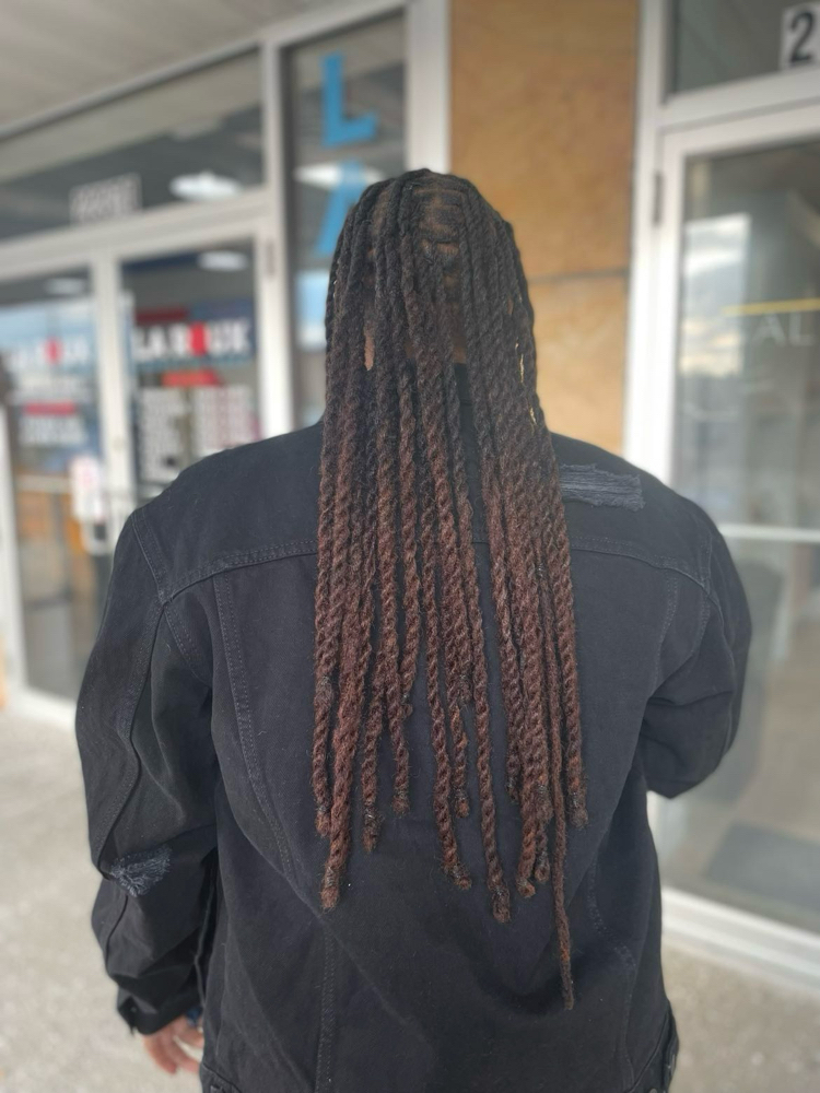 Two Strand Twist