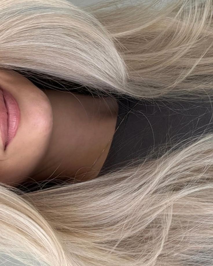 Full Highlight + Haircut