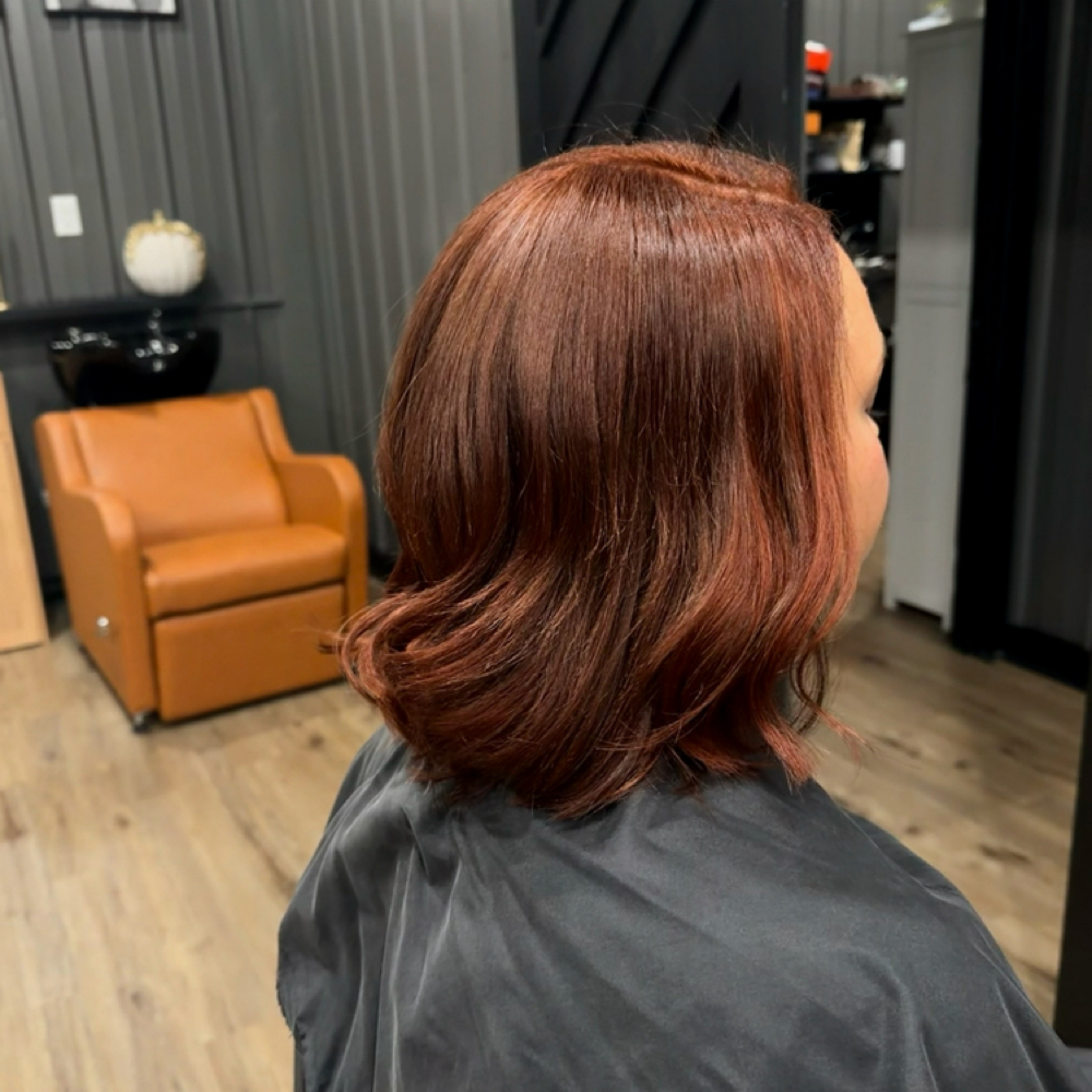 All over color + Haircut at BeautyxBentley in Benton, AR
