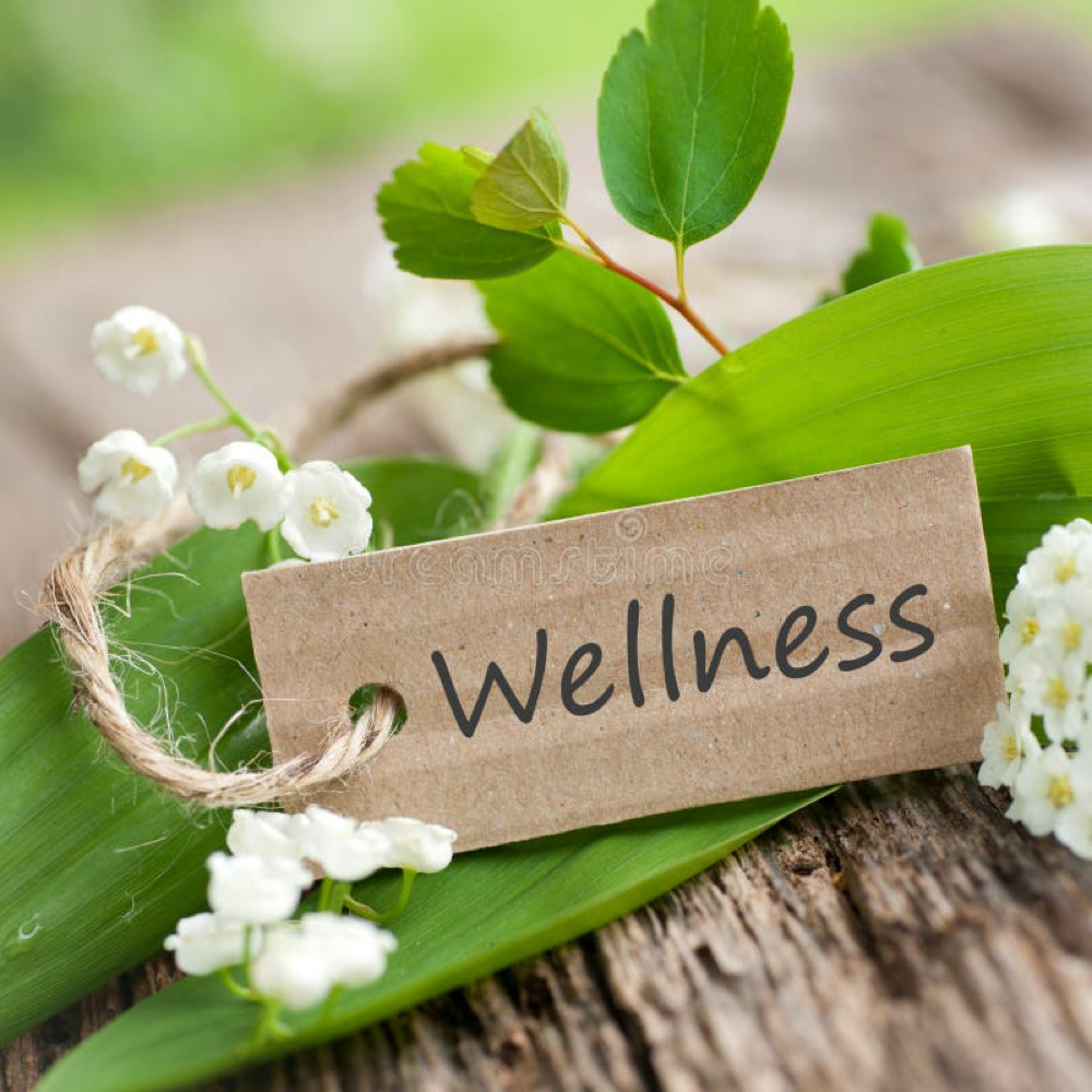 Initial Wellness Consultation at Well Kept in Bradenton, FL