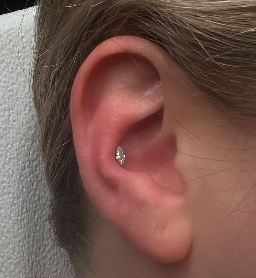 Conch