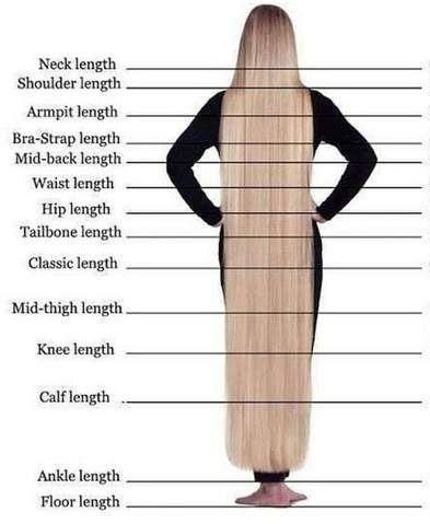 Length For Signals And Straight bac