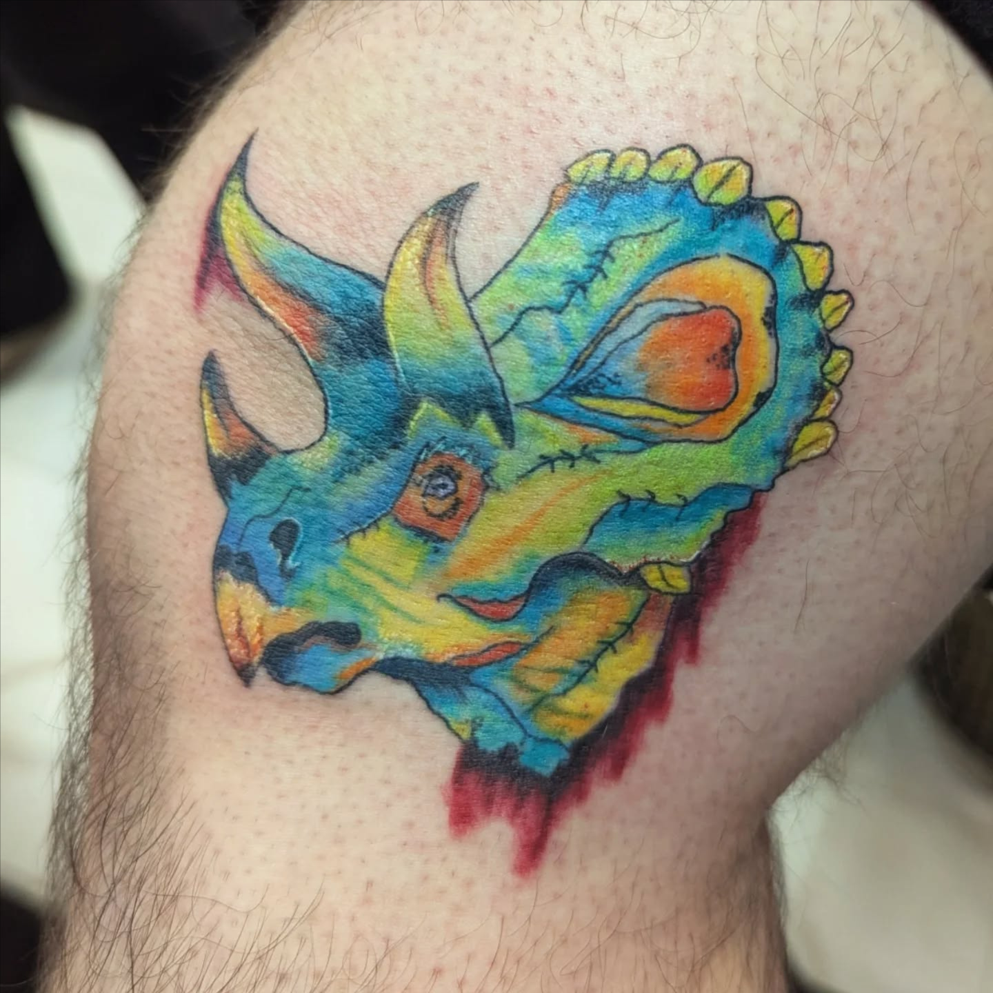 1/2 Day, Color at The Isle Tattoo in Erie, PA
