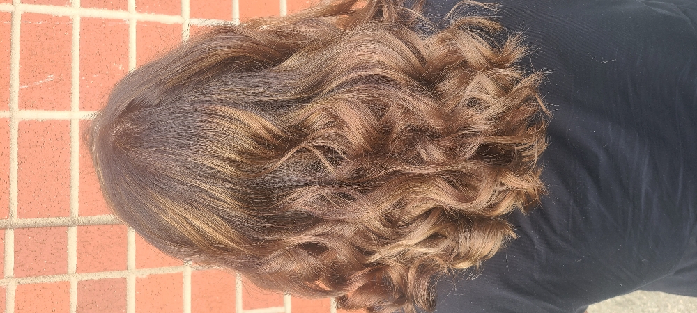 Full Highlight