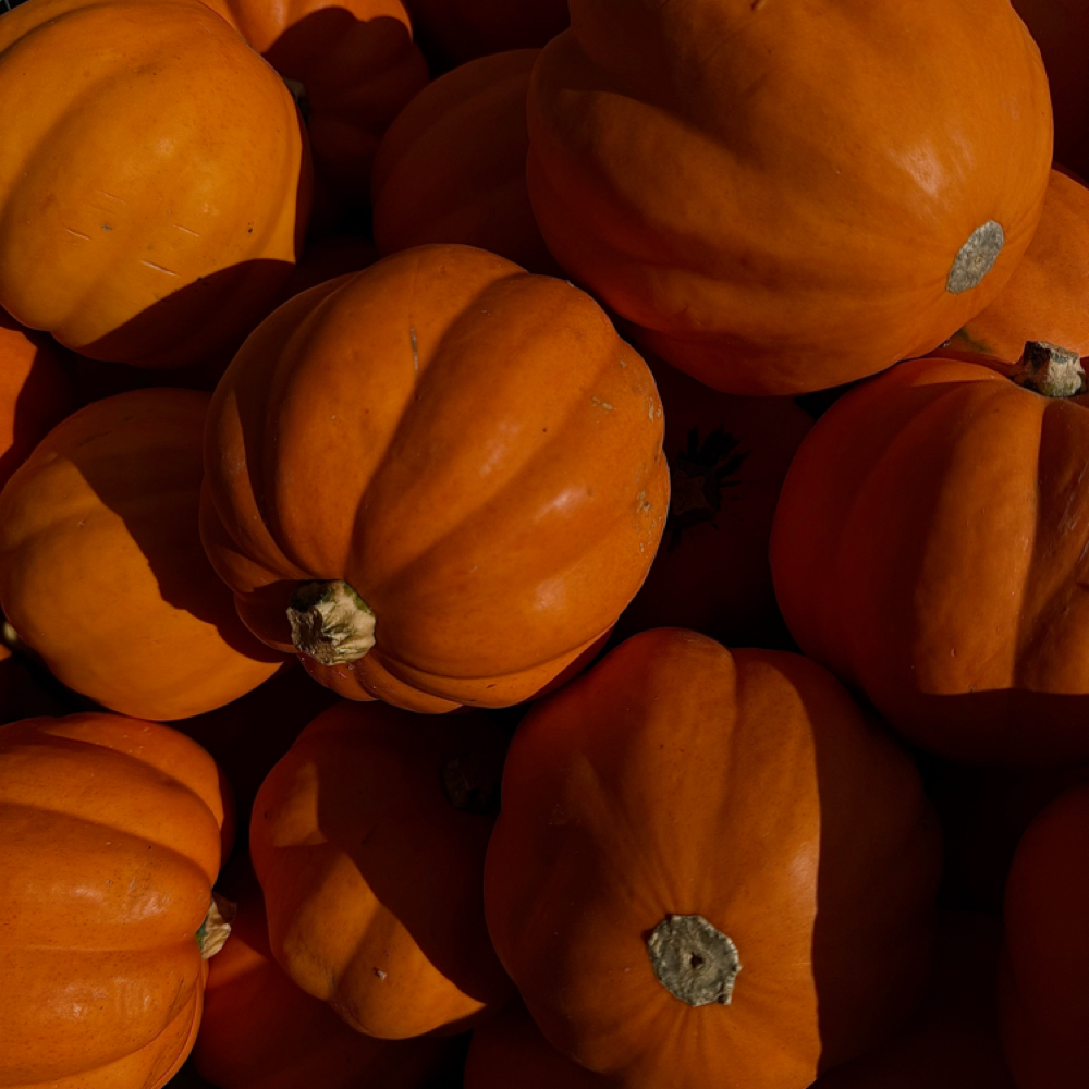 Spiced Pumpkin Mocha Facial at Fresh Face Studio LLC in Canton, CT