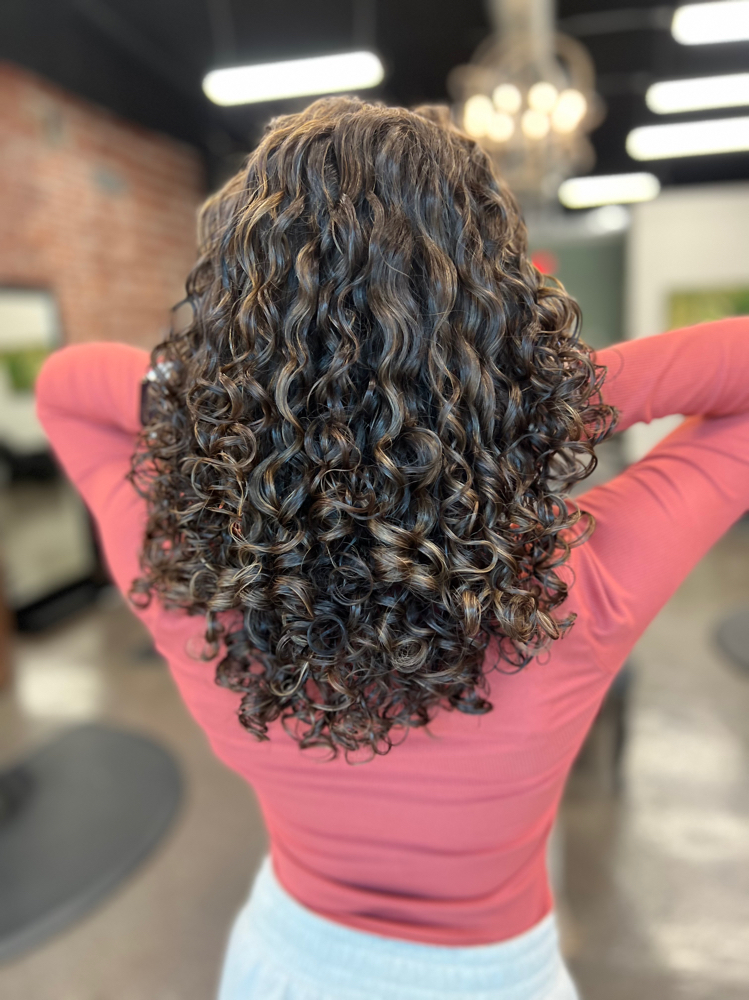 New Client Curly Cut Experience
