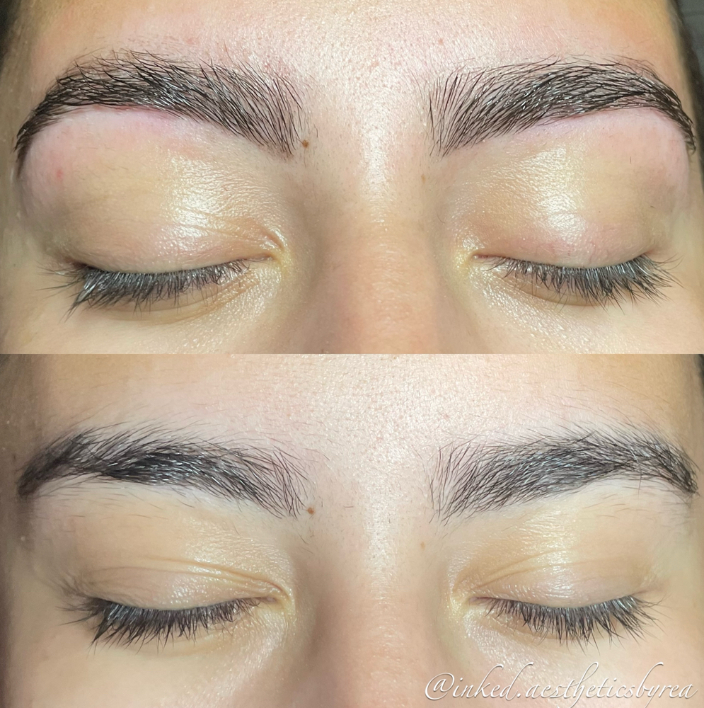 Brow Tint & Wax at Boston Beauty Ink in Canton, MA