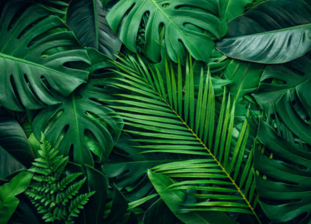 Haven Style at Ashley’s Hair Haven in Fredericksburg, VA