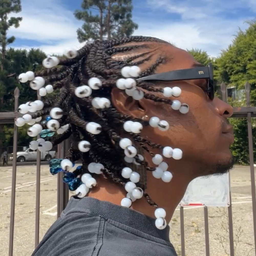 Fulani Mini Twists at kailibraidshair in Los Angeles, CA