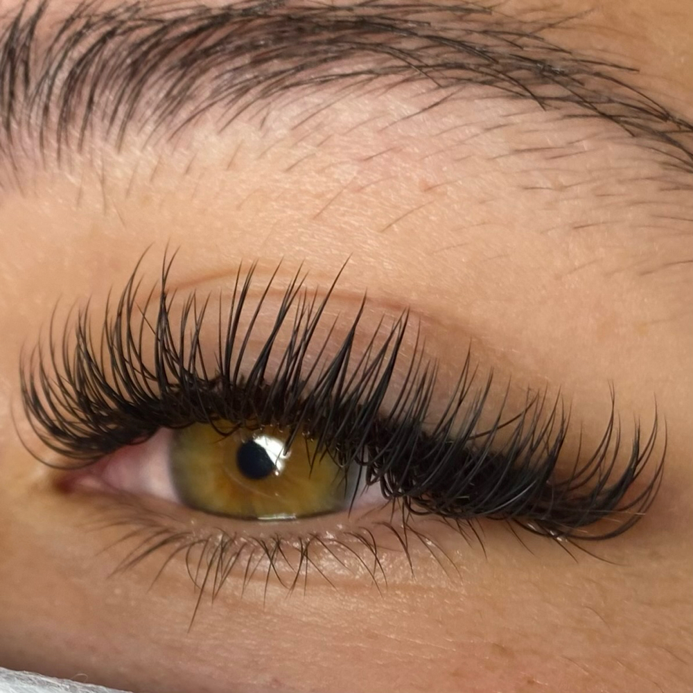 Classic Lashes