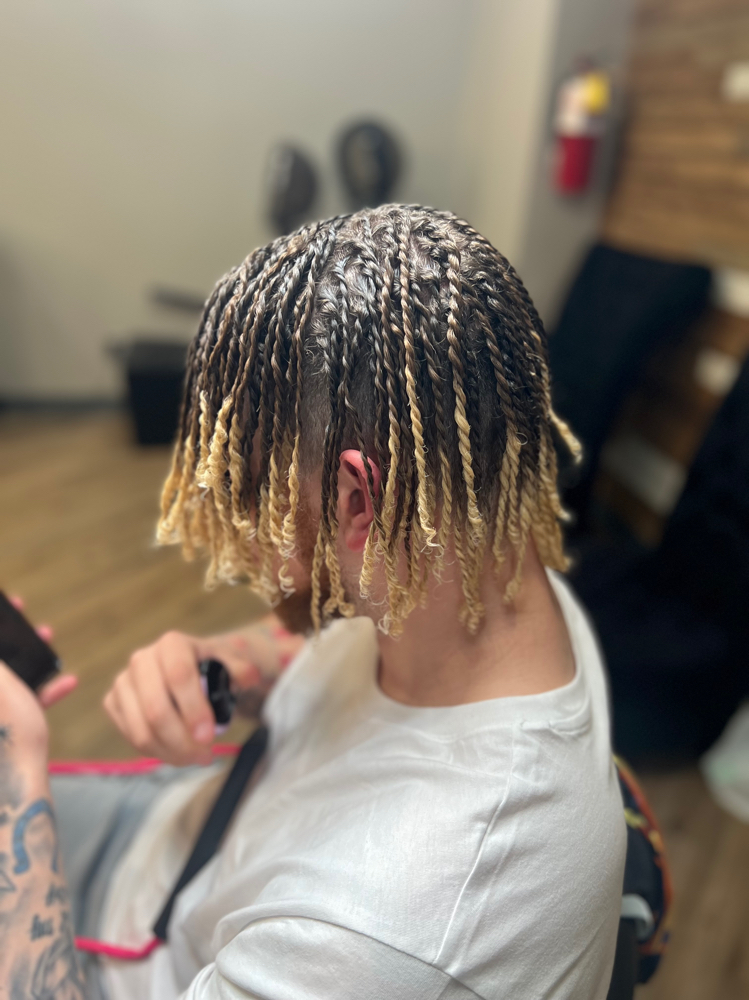 2 Strand Twist (Small)