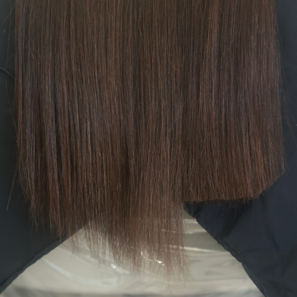 Haircut at summer brown in Morgan Hill, CA