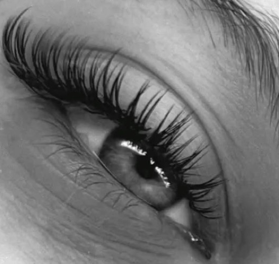 Pro Lash Extentions at HOUSE OF BEAUTY UTAH in Saint George, UT