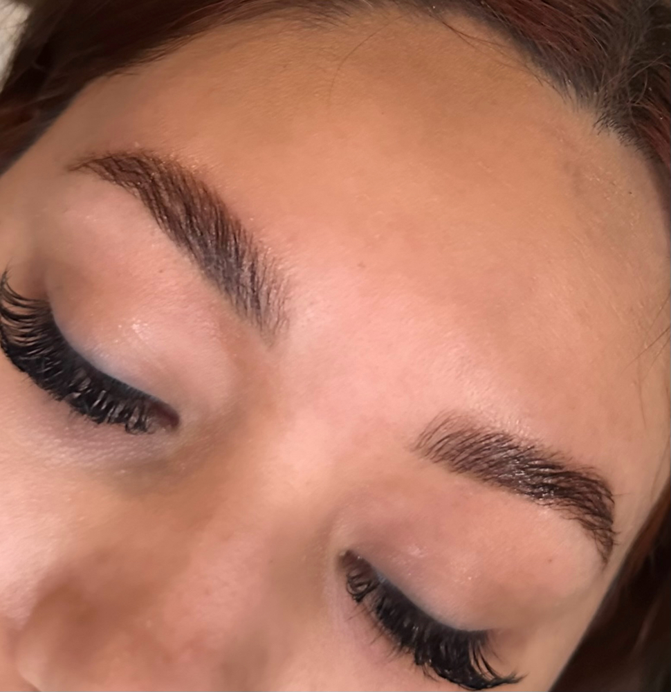 Eyebrow Wax + Lamination + Tint