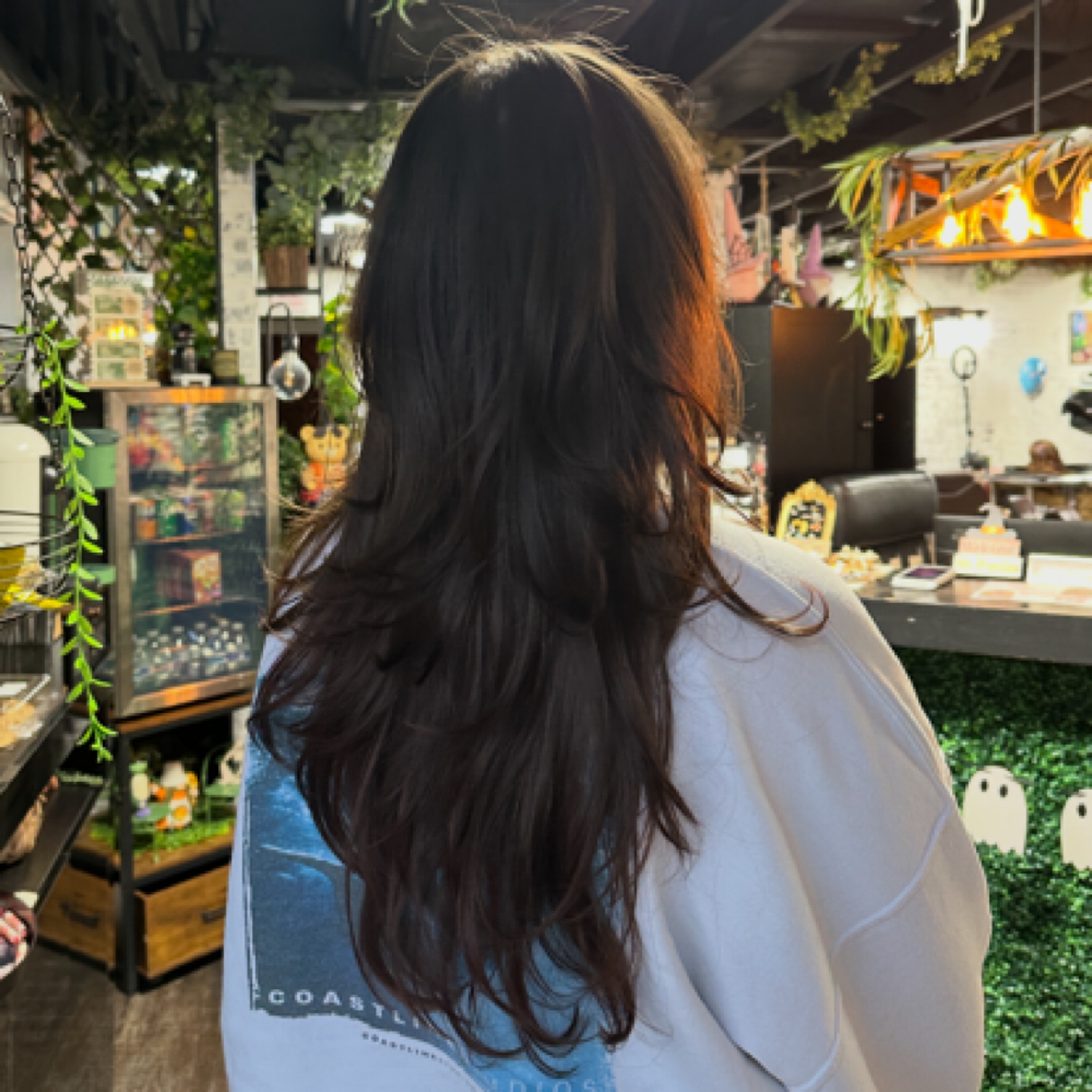 Maintenance Haircut (return client) at Studio C Salon & Boutique in altamonte springs, FL