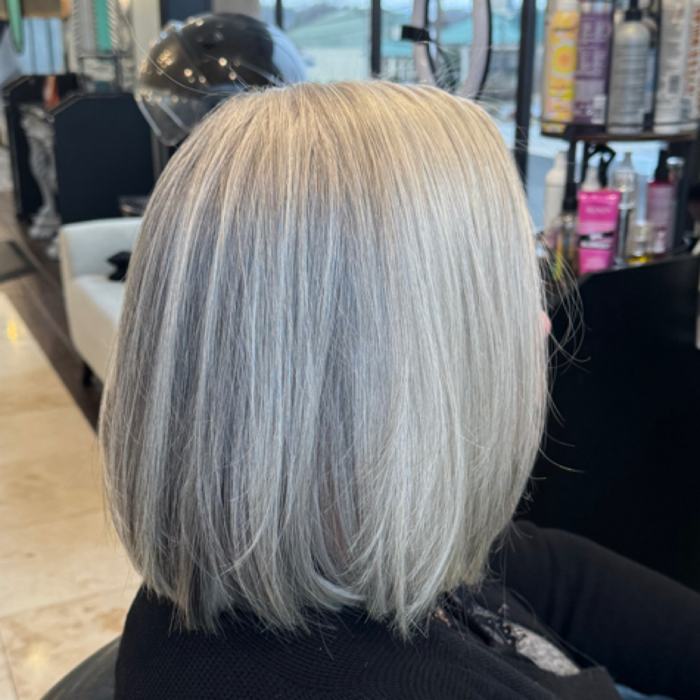 Toner Refresh at Capelli Bei Salon & Suites in Johnson City, TN