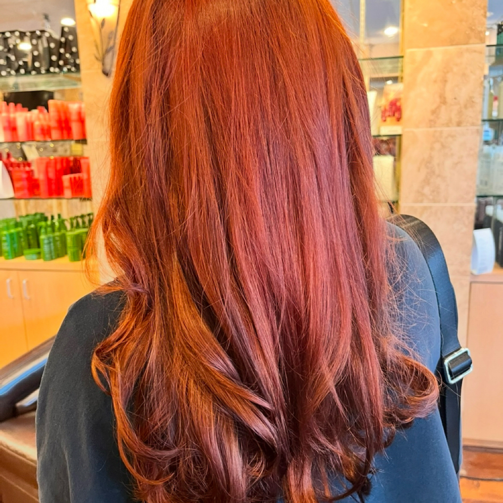 ALL OVER COLOR at Texture House Salon in Spring, TX