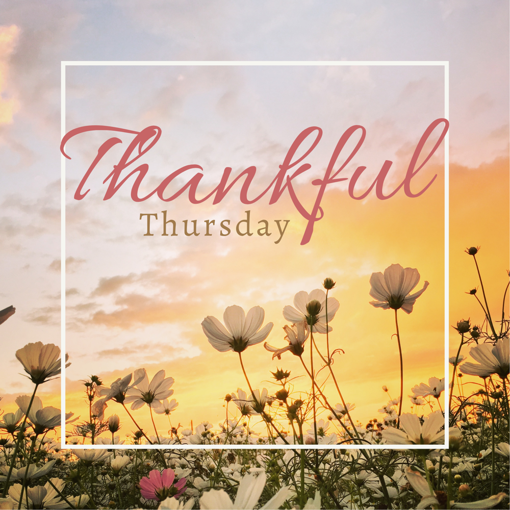Thankful Thursday