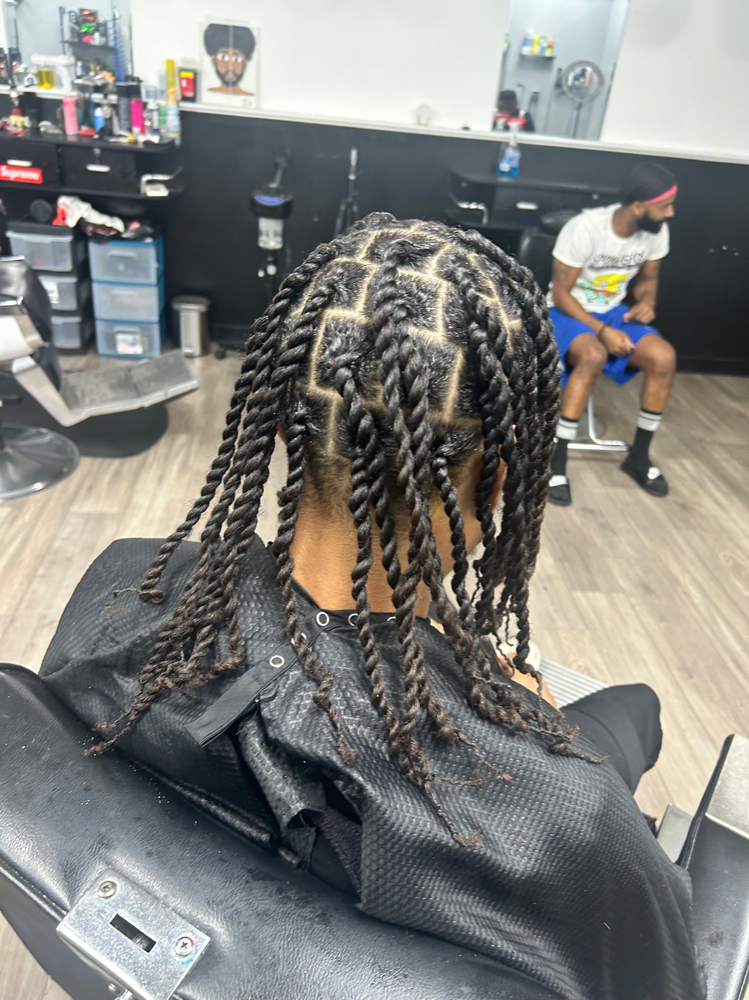 Two Strand Twist