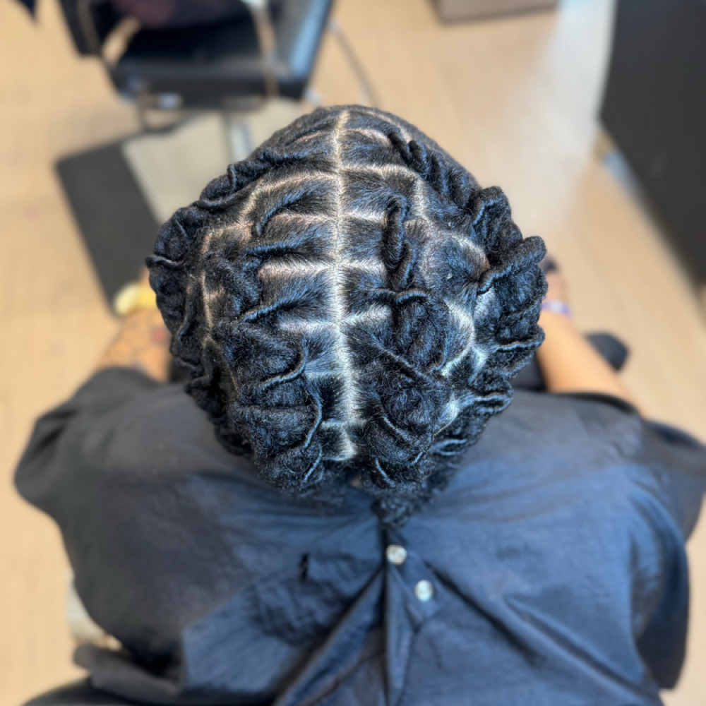 Basic Loc Styles at The Luna Look in Surprise, AZ