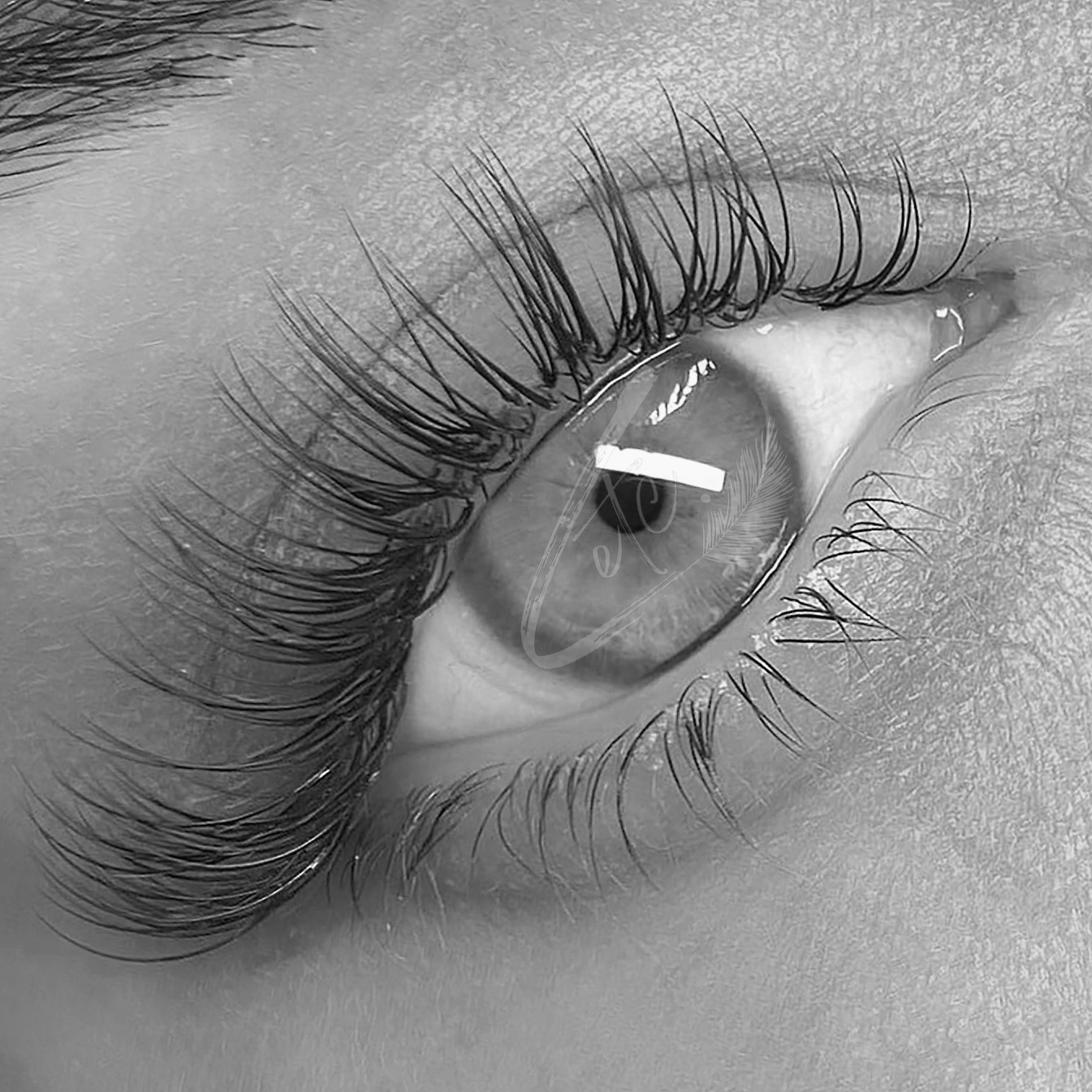 Brown Lash Extensions