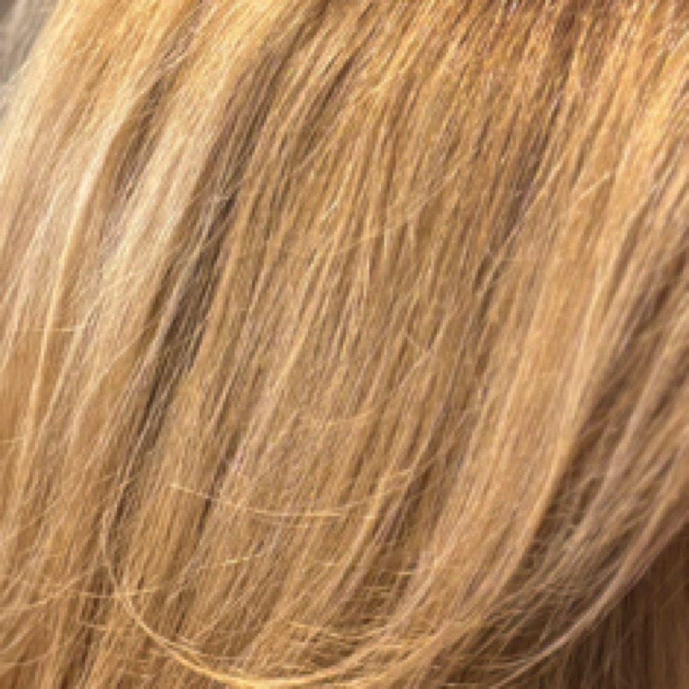 Root Color With Foils at Vivarium in Annapolis, MD