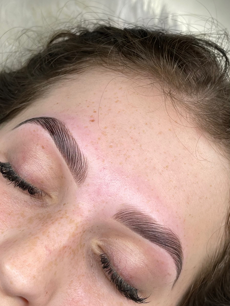 Brow Lami Includes Wax & Tint 💕 at The Lash Theory in Bridgeport, TX