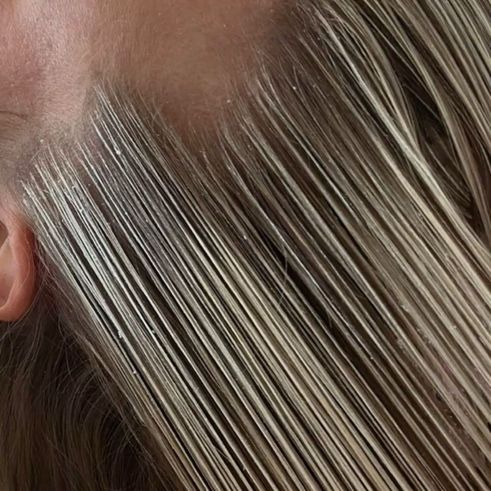 Accent Highlight + Cut + Style at Social House Salon in Holly Springs, NC