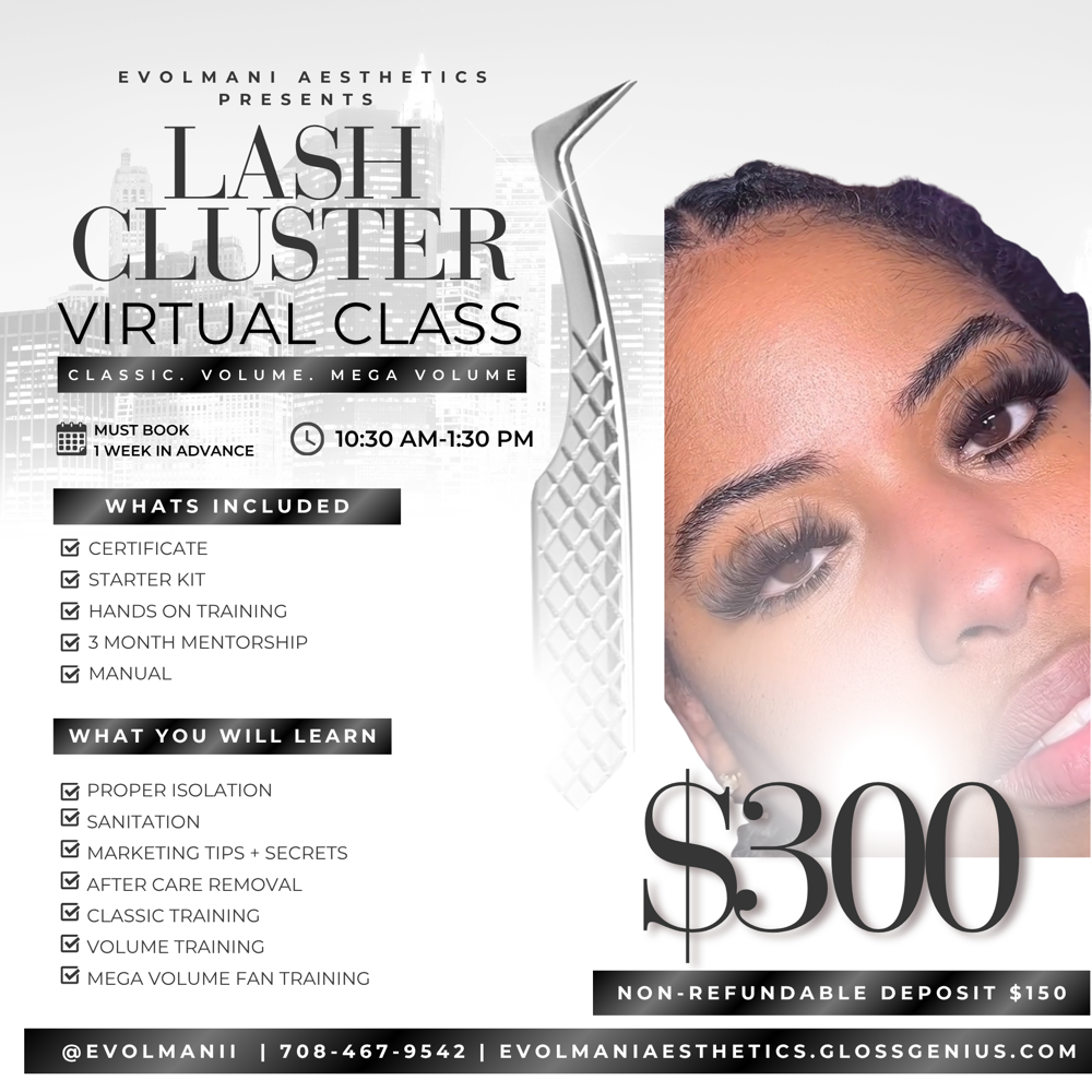 1 On 1 Virtual Lash cluster Course