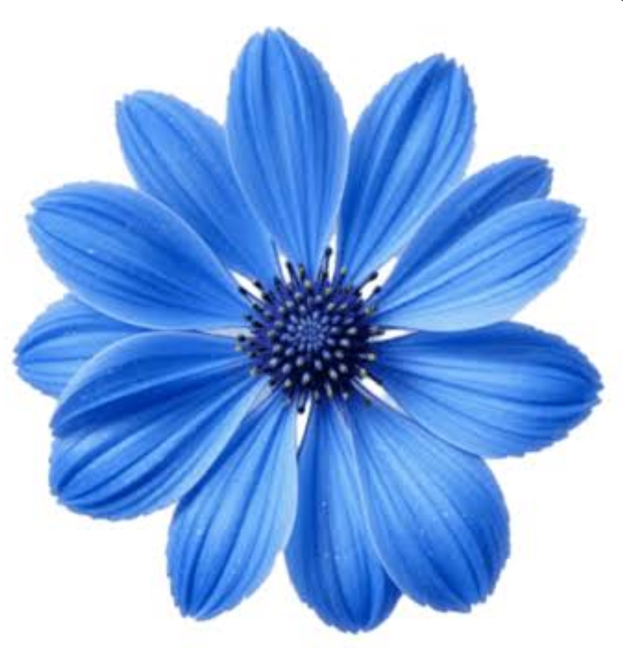 Vajacial at BluEssence Aesthetics & Spa in Martinsville, VA