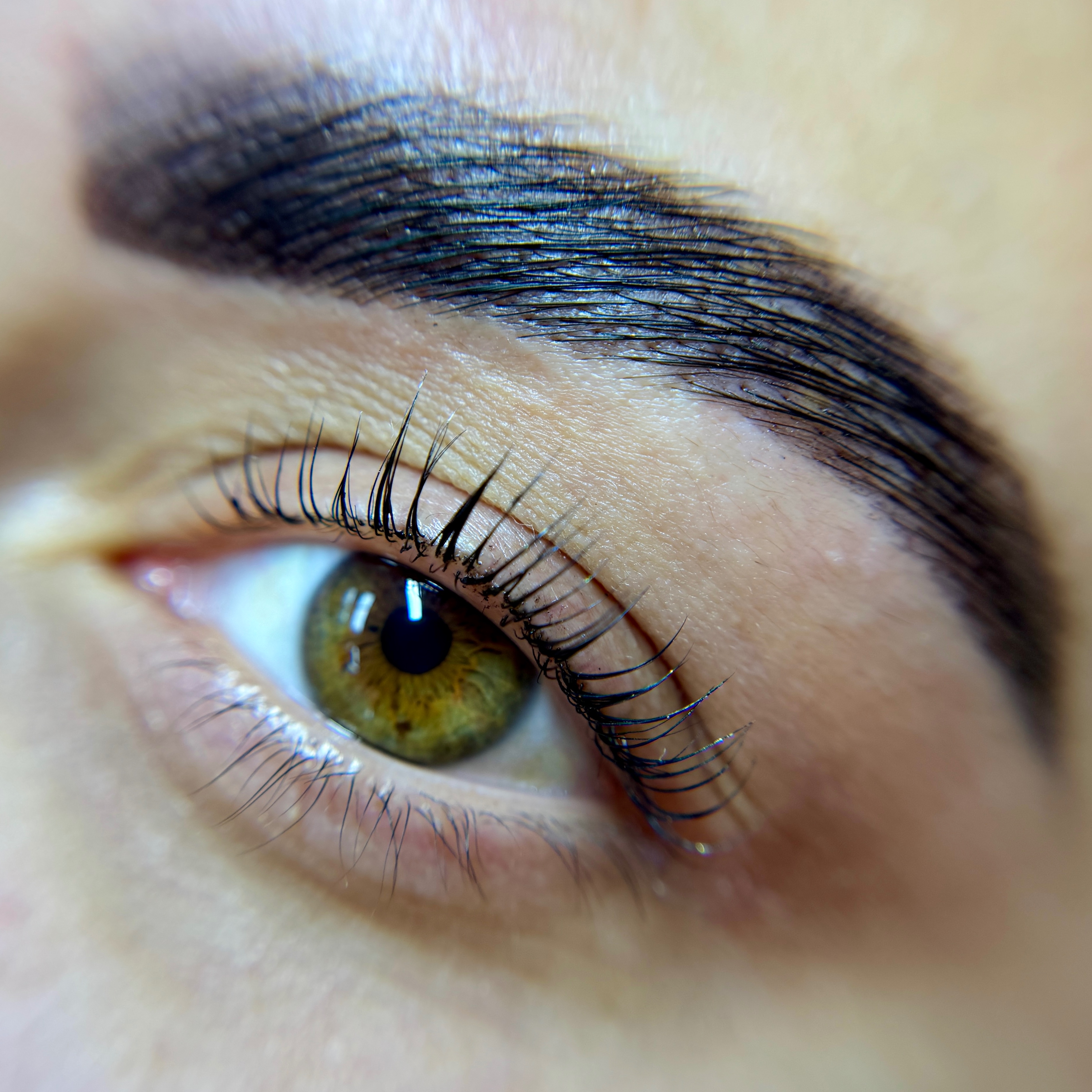 LASH & BROW LAMINATION + TINT COMBO at Katy Fairy LLC in Panama City Beach, FL