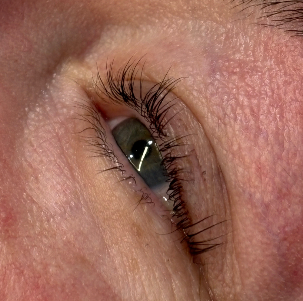 Lash Tint at Bare By Kady in Lufkin, TX