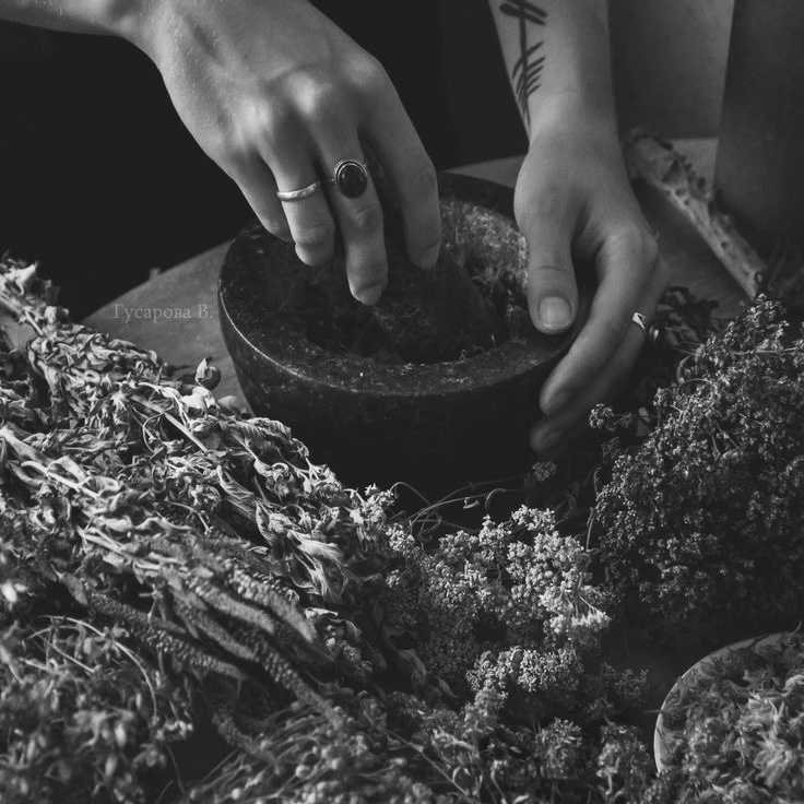 Root Revival + Refresh