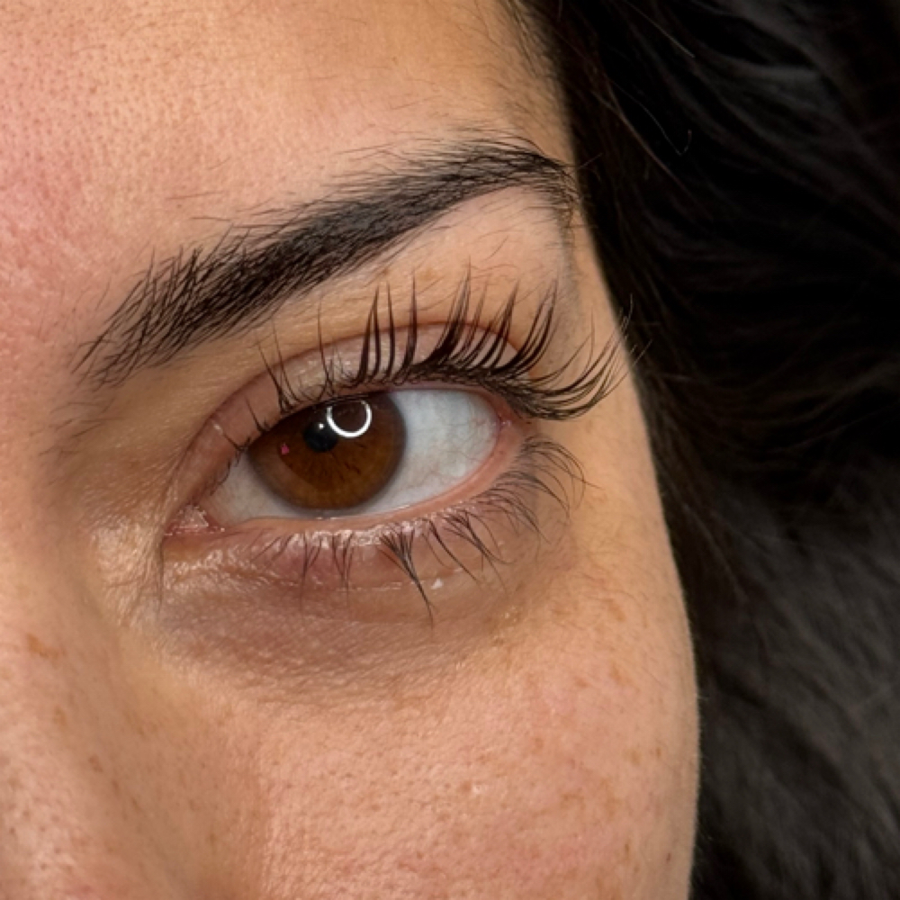 Lash Lift And Tint at True Volume studio in North Hills, CA