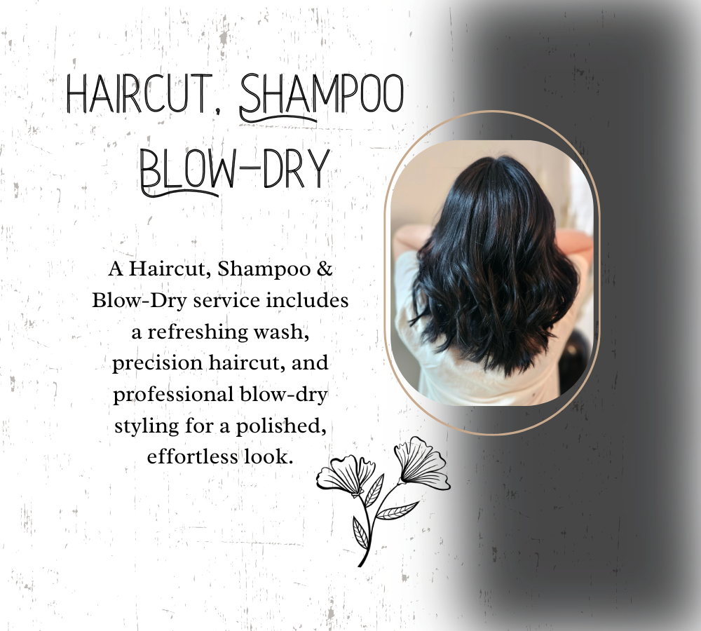 Haircut/Shampoo/Style