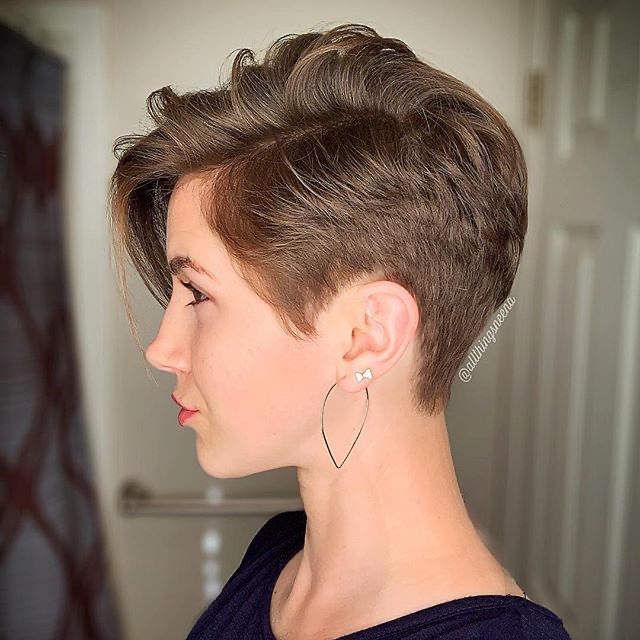 Hair Cuts & up