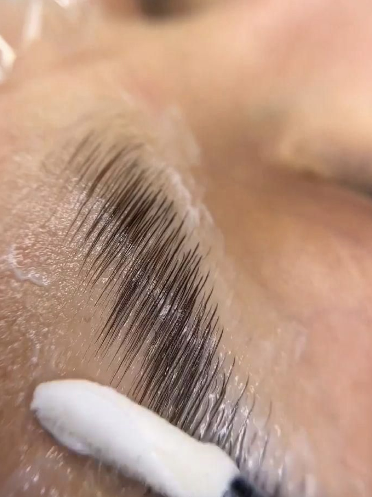 Brow Lamination at HAUSOFMAL ESTHETICS in Dallas, TX