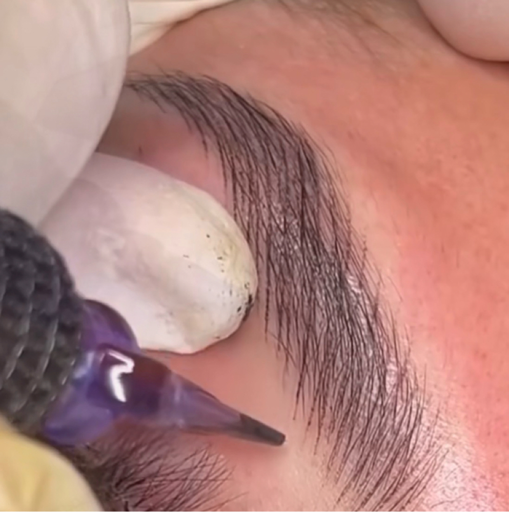 18 Month-2 Year Combo Brow Touch Up at Linny @ Blade Babes Aesthetics in Hernando, MS