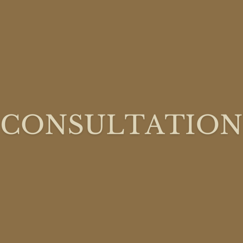 Consultation at The Mane Suite in Pearland, TX