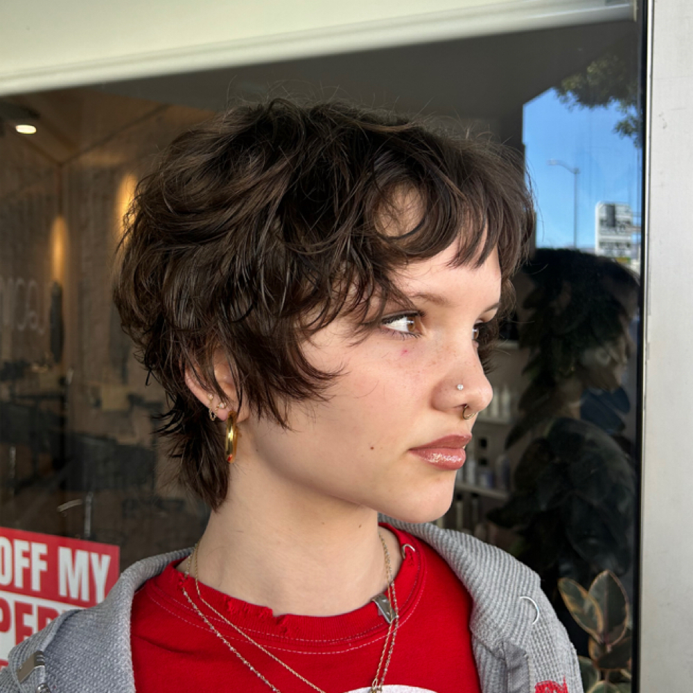 Mini Haircut at Cuts By Cookie in Glendale, CA