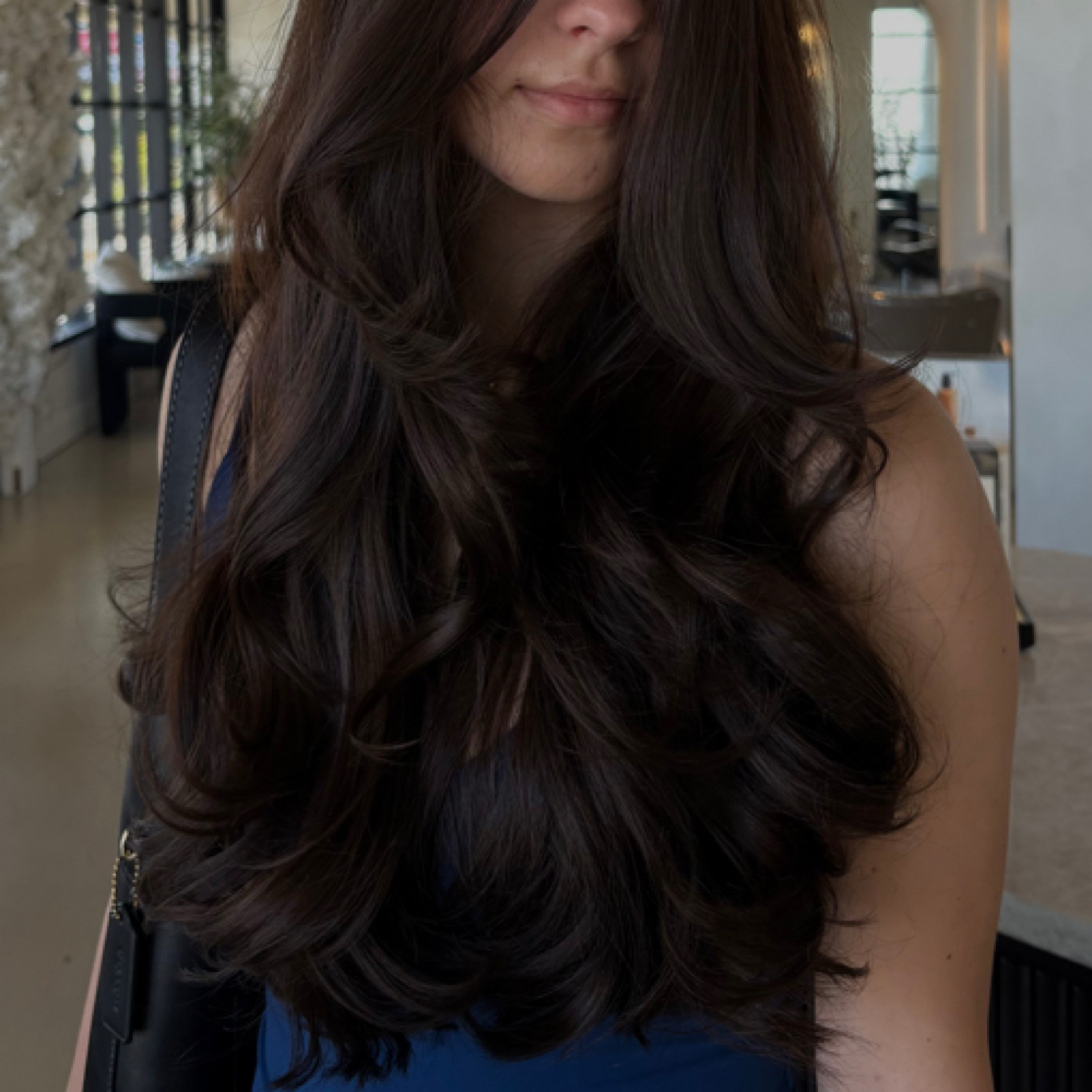 the signature cut at Maven & Mane Salon in appointment will be held, FL