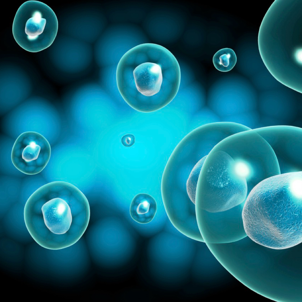 Glutathione Injection at Lyla James Aesthetics and Wellness in Pryor, OK