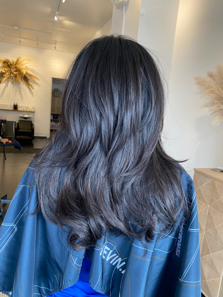 Shampoo And Blowout/stlye