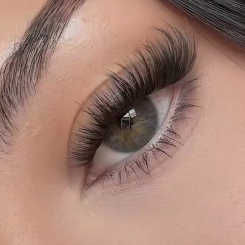 Express Volume Lashes