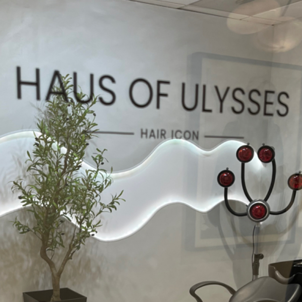 Hair Color Cosultation at HAUS OF ULYSSES in Long Beach, CA