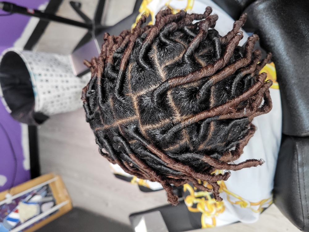 Starter Locs