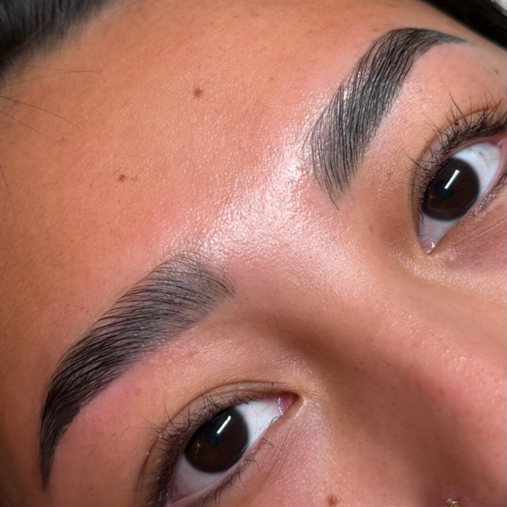 Brow Wax, Tint/Stain, & Lamination at Belleza Esthetics in San Angelo, TX